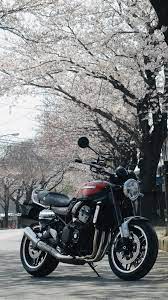 桜 ツーリングフォトグランプリ タンデムスタイル
