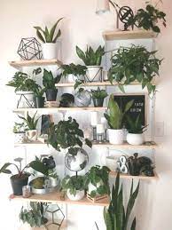 Indoor Plants Plants Wall Wall Decors Diy Plant Decor Wall Living Room Decor Acryl Basteln Bi Diy Plants Decor Plant Decor Living Room Wall Designs