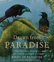 Drawn From Paradise The Natural History Art And Discovery Of The Birds Of Paradise With Rare Archival Art Pdf Natural History Birds Of Paradise Art History