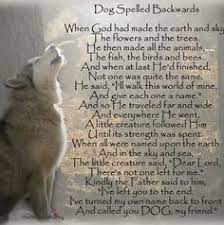 Beautiful Poem About Dogs I Just Love This For You Buddy Dog Poems Dogs Pet Remembrance