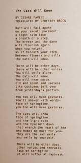 3571 Catswillknow 25281306x1033 2529 255b8 255d Jpg Image Poems Prose Poetry Words