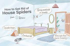 Prevention Tips For Controlling House Spiders