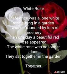 White Rose Poetry Inspiration Beautiful Red Roses White Roses