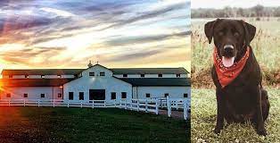 Pin By Katelyn Esker On Fall Road Trip Fall Road Trip Visit Tennessee Pet Friendly