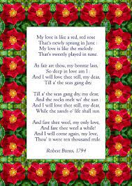 Robert Burns Rose Poems Red Roses Burns Day