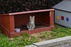 Shop petco's cat feeding stations including elevated & raised cat bowls & stands. 10 Cat Feeding Stations Ideas Cat Feeding Station Cat Feeding Cat Shelter