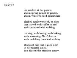 Excerpt From Donald Hall S Beard For A Blue Pantry Poems Words Poetry