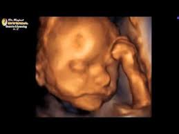 Pin On Pregnancy Baby