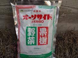 モモ あかつき 鉢植えの縮葉病予防 とぅちゃんのおいしい庭づくり