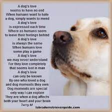 A Dog S Love Dog Poems Dog Quotes Dog Memorial