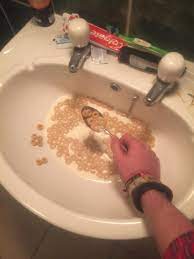 slpt: eat your cereal out of your sink