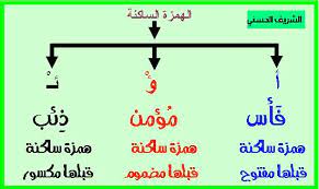 قواعد كتابة الهمزة موقع اللغة العربية منى أصلان