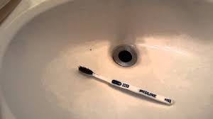 foul toxic black mold living in your