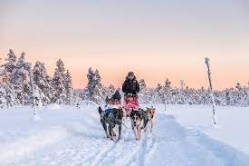 Verlangen sie unsere unverbindlichen offerten rafters gmbh :: Dog Sledding Dog Sled Vacations And Tours In Lapland Scandinavi Alaska Canada And Many More Locations Heyhusky