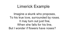 Skunk Poems For Kids Google Search Limerick Examples Poems Essay