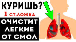Kurish Eto Vygonit Vse Smoly Iz Legkih Kak Ochistit Legkie I Brosit Kurit Youtube