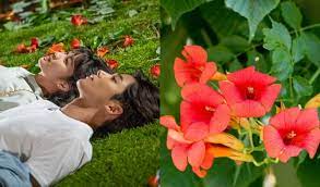 And having red, trumpet shaped flowers 2. The Meaning Behind The Omnipresent Flower Of Extraordinary You Kpopmap Kpop Kdrama And Trend Stories Coverage