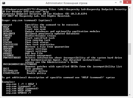 How To Manage Kaspersky Endpoint Security 10 For Windows Via The Command Prompt