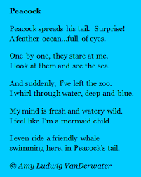 The Poem Farm Peacock A Couplet Poem Poetry Lessons Poetry For Kids Couplet