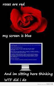 Roses Are Red This Is My Pc Blue Screen Red Roses Computer Humor