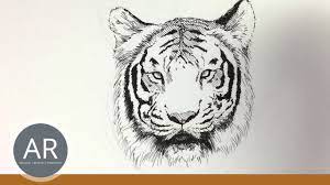 Er trat in die weser*, die tiere folgten ihm und ertranken im wasser. Tier Illustrationen Tiere Zeichnen Lernen Tiger Zeichnen Mappenkurs Kunst Youtube