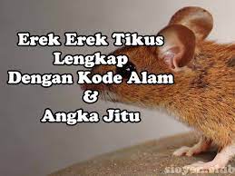 Kode Alam Tikus