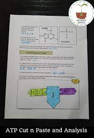 Pin On Awesome Biology Resources