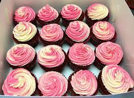 Chocolate Cupcakes With Pink And White Frosting Baking Business No Bake Cake Cake Decorating Tips