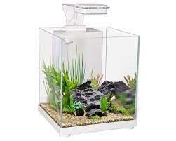 Keeping fish can be a rewarding pastime that teaches patience and rewards hard work. Aqua One Betta Sanctuary 10l White My Pet Warehouse