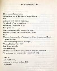 Yehuda Amichai Wild Peace Literary Quotes Poems Words