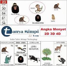 Angka Monyet 2d 3d 4d Nomor Kera Buku Monyet Shio