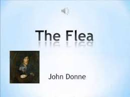 The Flea By John Donne Poetry Analysis Youtube Poetry Analysis John Donne Poetry
