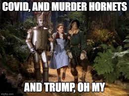 Wizard Of Oz Wizard Of Oz Movie Wizard Of Oz Wizard Of Oz Memes