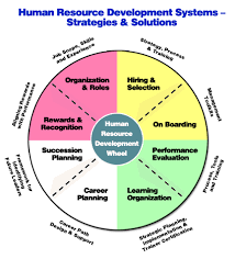 Pin By Department Service Systems On Human Resource Development Human Resources Learning Theory Human Resource Management
