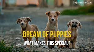 A puppy in a dream might be an indication of your attempts to protect yourself or trust in your abilities to do something. Puppy Dream Meaning Archives Dejadream