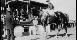 Phar Lap Youtube Horses Racehorse Animals Beautiful
