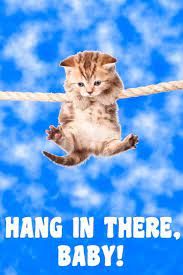 Music video by curiosity performing hang on in there baby. Amazon Com Hang In There Baby Kitten Retro Motivational Laminated Dry Erase Sign Poster 12x18 Posters Prints