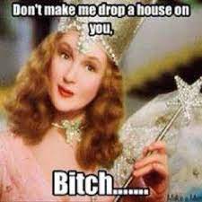 Wizard Of Oz Memes Google Search Funny Quotes Princessdiana1209 Funny Pictures