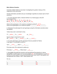 2 mhr tr • biology 11 answer key unit 2. Bikini Bottom Genetics Scientists At Bikini Bottoms Have Been