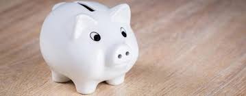 What Is The Cost Of Pest Control Services Gecko Green