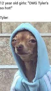 25 Funny Fresh Memes To Keep You Up To Date Dog Tumblr Dog Quotes Funny Funny Animals