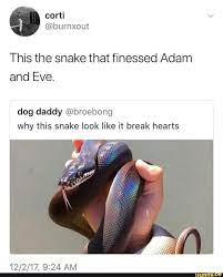 Found On Ifunny Cute Reptiles Funny Animal Memes Cute Snake