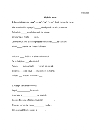 Fise De Lucru Online Worksheet
