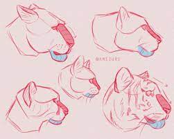 Cat Anatomy Tumblr Big Cats Art Animal Drawings Cat Anatomy