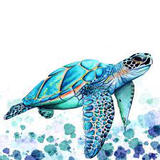 Turtle Art Print By Ismay Verbeek X Small Sea Turtle Art Sea Turtle Painting Turtle Art