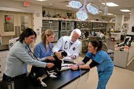 Pet medical center of ames. How Iowa State S College Of Veterinary Medicine Got Its Groove Back