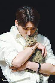 Monsta X Cat Monsta X Jooheon Cat Gucci Yoshi Monsta X Gucci Yoshi Cat Kitten Idol Pet Monsta X Kihyun Monsta X Monsta X Wonho