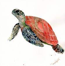 Sea Turtle Original Watercolor Painting 12 X 12 In Olive Green Indigo Red Animal Art Sea Animal Illustration Watercolor Animals Animal Art Turtle Watercolor Turtle Painting