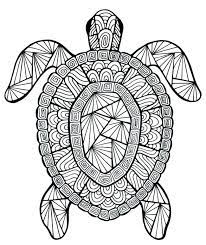 Free Mandala Coloring Pages To Print Charming Free Mandala Coloring Pages For Adults New Fun Turtle Coloring Pages Summer Coloring Pages Mandala Coloring Pages