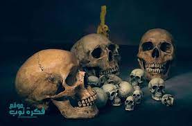 صور جماجم مرعبة جدا 2019 خلفيات جماجم نارية كيوت ملونه Hd 2 Skull Art